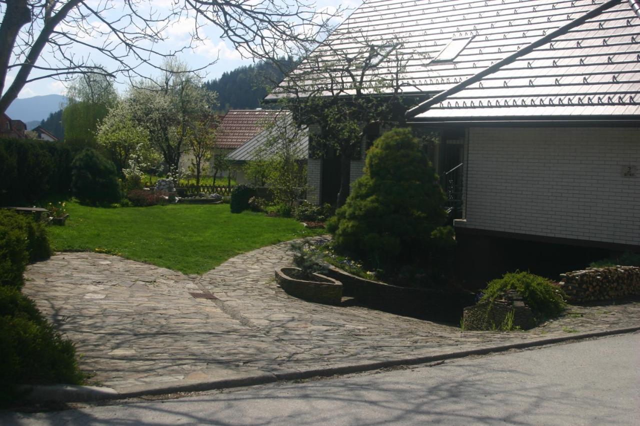 Savinja River Apartment Ljubno